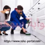 شركة مكافحة حشرات بالطائف